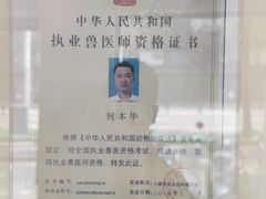 -守诺宠物医院·眼科· 特色牙科·异宠专科(虹口店)