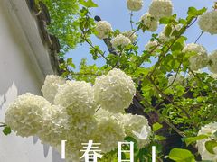 -拙政园