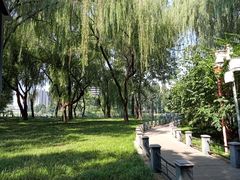 -将府公园