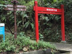 -大屏嶂森林公园