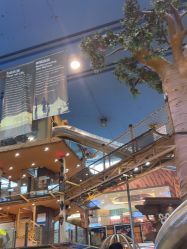 点击看大图 -卡通尼·Safari非洲探索乐园·生日会(金桥国际商业广场店)