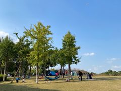 -绍兴镜湖国家城市湿地公园