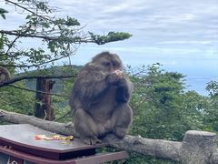 -峨眉山风景名胜区