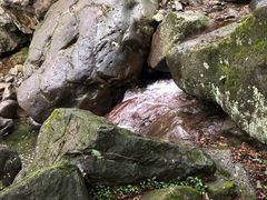 -白云源风景区