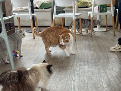 -小时光咖啡馆(北锣鼓巷店)
