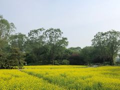 -北坞公园