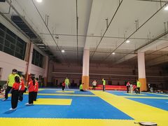 -武术世家少儿培训中心(首都体育学院店)