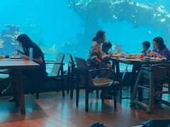 -海棠湾洲际-涛·海底餐厅·美人鱼·自助餐·海底隧道