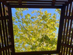 -春晖园度假酒店温泉