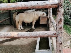 -瑞博尔花园酒店(太周创新产业园店)