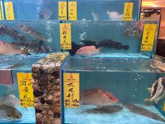 -有腥气私房菜·寻味顺德