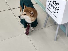 -怪兽屋·羊驼·猫咖·狗咖(俊华广场店)