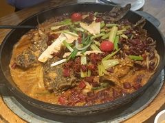 -老板恋上鱼(印象城店)