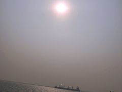 -东疆建设开发纪念公园