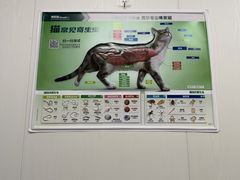 -艾贝尔宠物医院·宠保定点·超声绝育·免疫点(樱花路店)