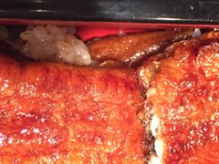 本家柴藤-本家 柴藤