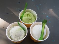 -莓园冰淇淋店