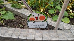 -梦田都市农场(银泰城店)