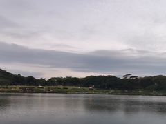 -东莞植物园