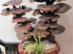 -卢小厨私房菜(长兴店)