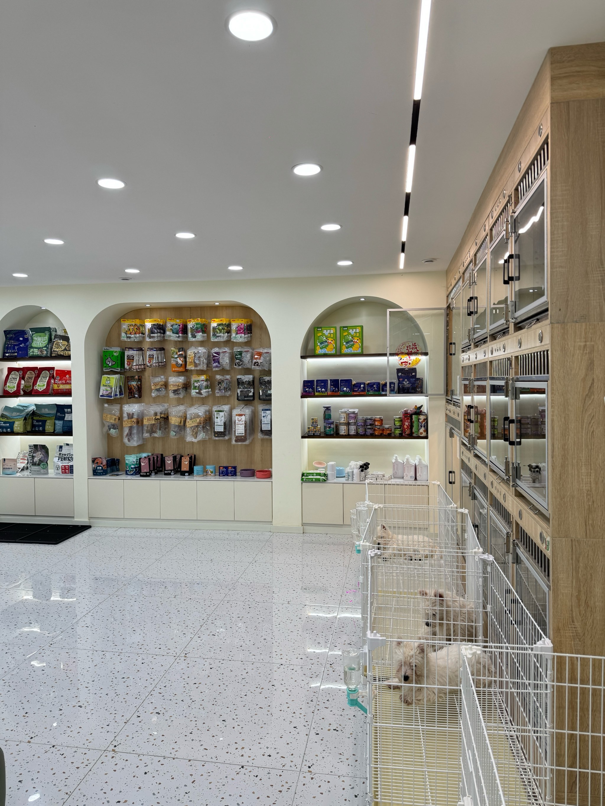 终于找到让比熊崽崽主动进浴室的宠物店