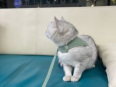 -虹泰宠物医院 ·旗舰店·24h(南秀路店)