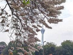-红星桥(地铁站)