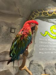 点击看大图 -Zoolung Zoolung动物主题公园(海信广场店)