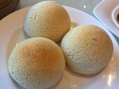 雪岭雄峰-利苑酒家(合景国际金融广场店)