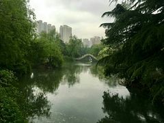 -西苑公园