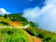 -妙峰山风景名胜区