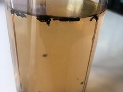 -柳莺湖上·湖景餐厅·江南菜(西湖店)