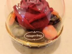 -哈根达斯(烟台振华店)