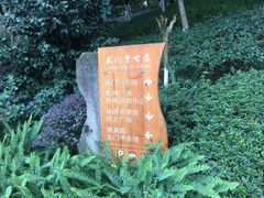 -龙头寺公园