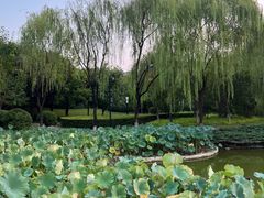 -城市运动公园(未央区)