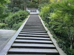 -虎跑公园