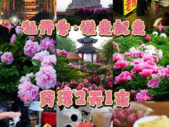 -曹州百花园