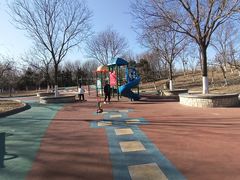 -大兴滨河森林公园