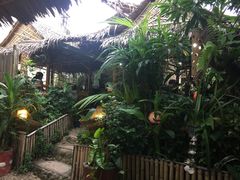 -Jungle Kitchen