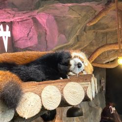 -Zoolung Zoolung动物主题公园(海信广场店)