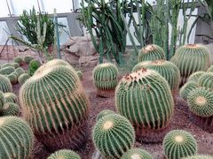 -北京植物园-展览温室