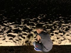 -秦皇岛阿尔卡迪亚滨海度假酒店