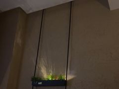 -新紫霞养生·影院足道·SPA(金山区店)