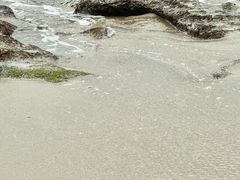 -宴悦海鲜餐厅·游水海鲜·牛排(亚龙湾瑞吉店)