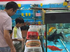 -崖口红树林海鲜餐厅