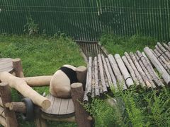 -沈阳森林动物园