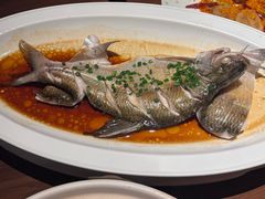 -曾宴·楚菜(湖北省博物馆店)