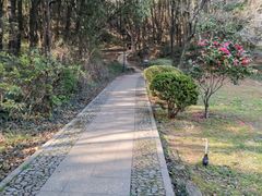 -灵岩山风景区