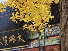 -红螺寺