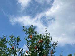 -幕燕滨江·长江观音景区